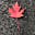 Iris1977's avatar