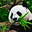SnakefistPanda's avatar