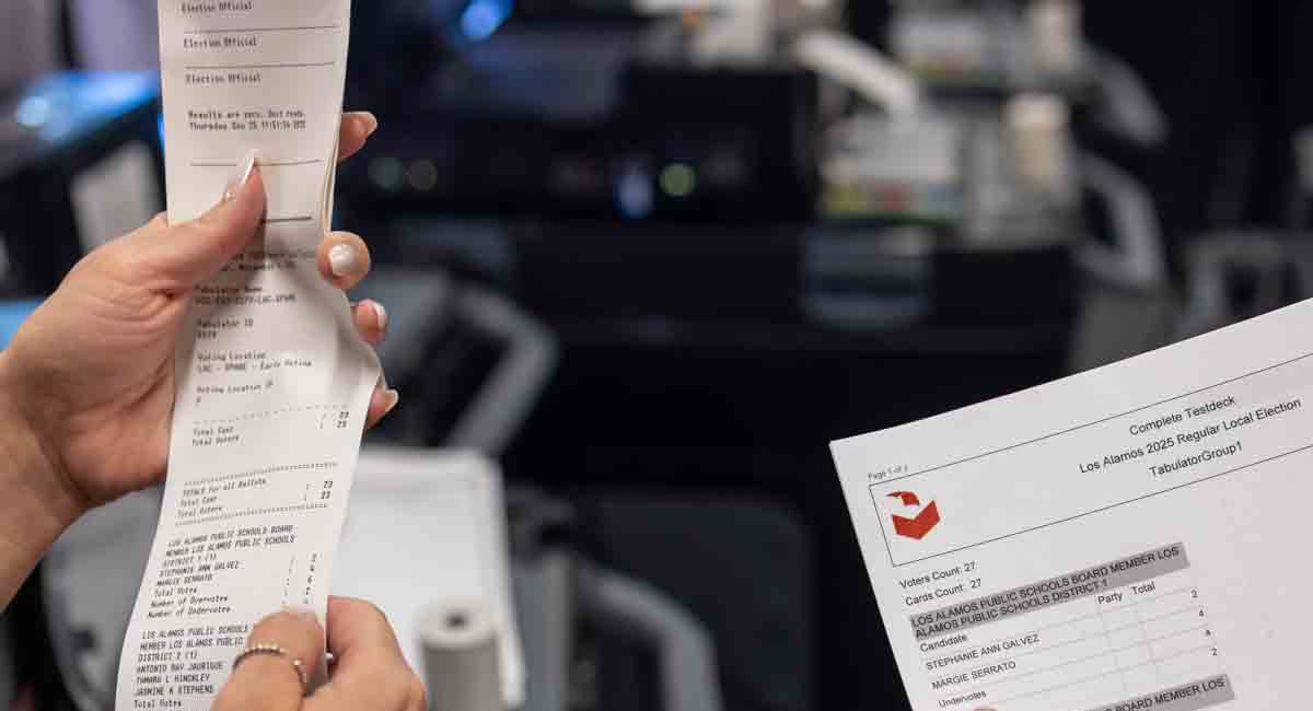 How does your vote get counted anyway?