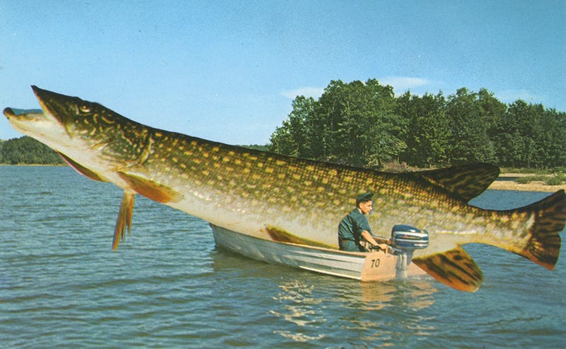postcard of a giant fish