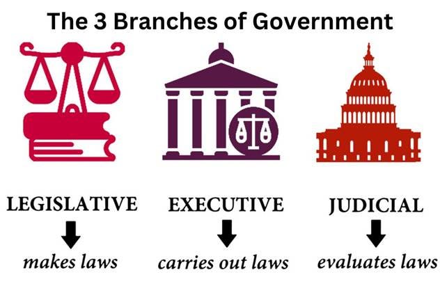 Three Branches of Government: American Democracy | Livius Prep Three Branches of Government: American Democracy | Livius Prep