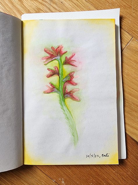 series of watercolor paintings in a sketchbook with flowers, roots, palm trees, and abstract artworks