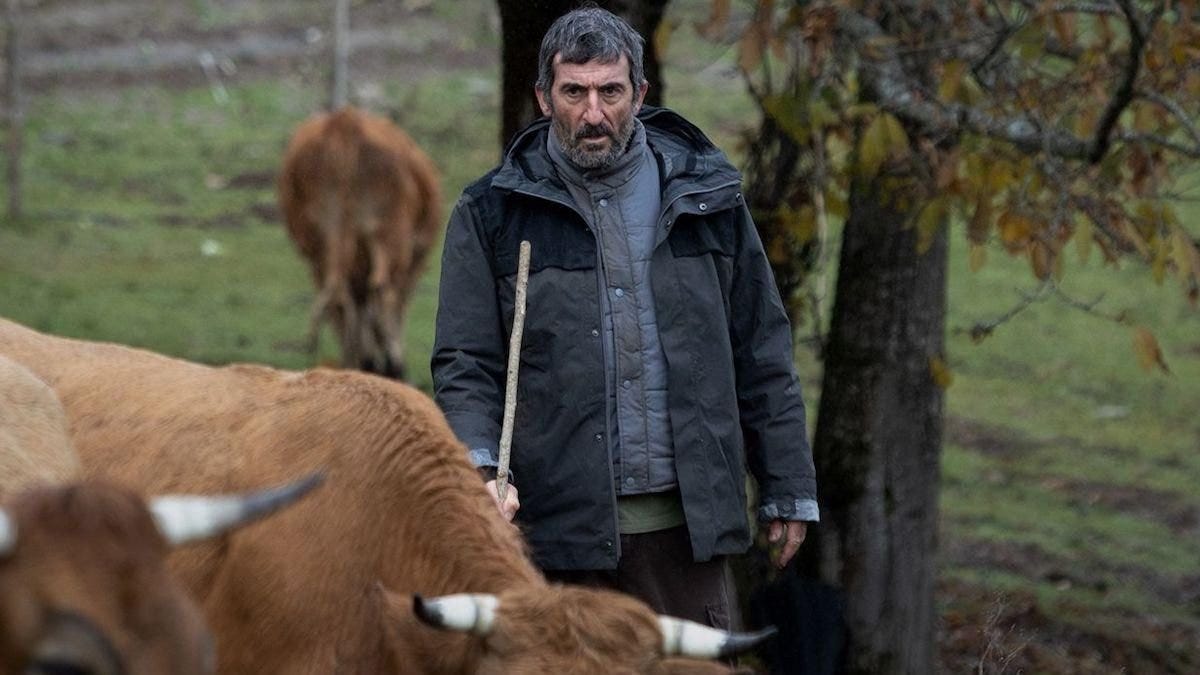 “As bestas”, de Rodrigo Sorogoyen. “As bestas”, de Rodrigo Sorogoyen.