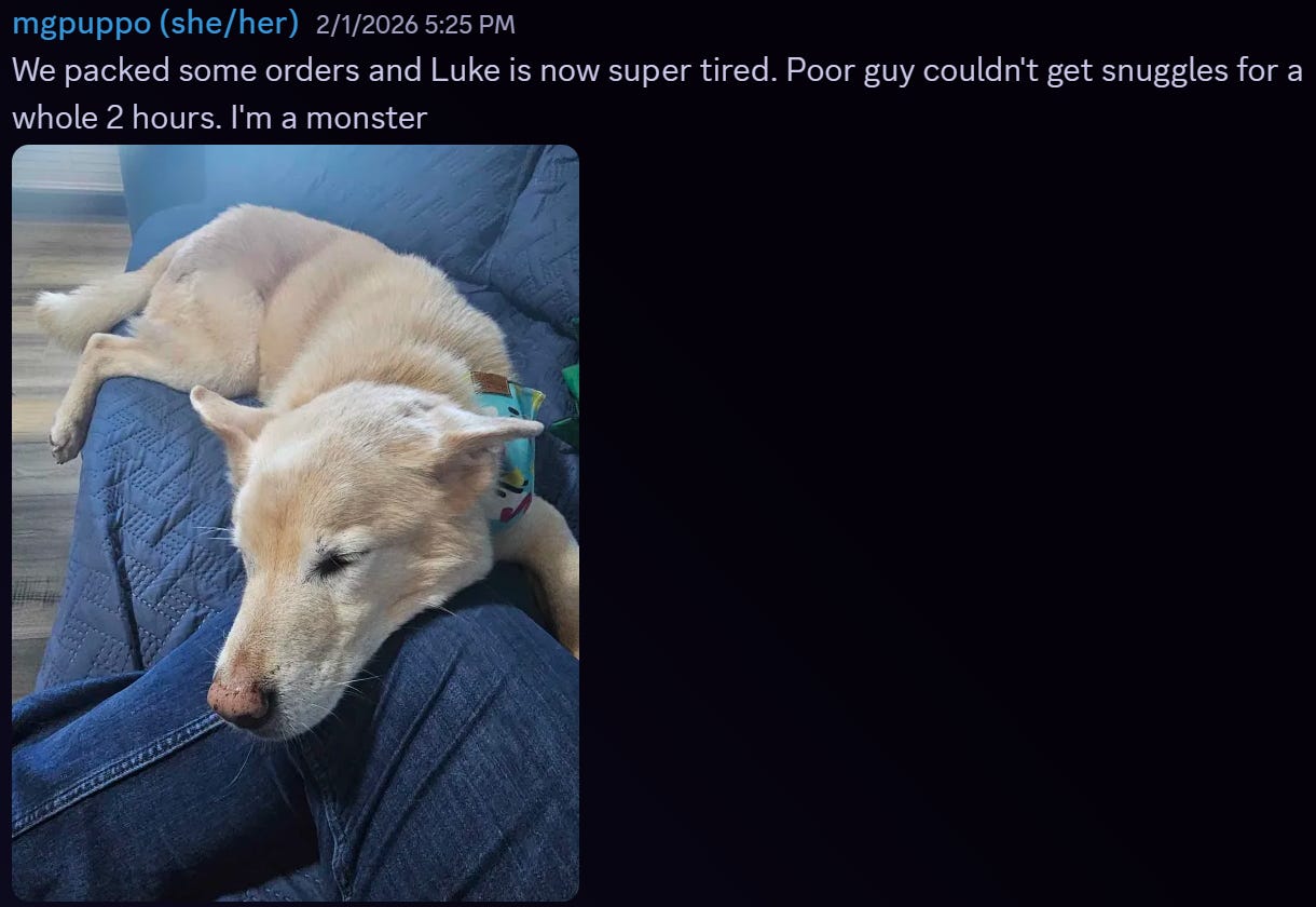 A fluffy yellow dog naps on a day bed using someone's knee as a pillow. Text above the image says "We packed some orders and Luke is super tired. He couldn't get cuddles for a whole 2 hours. I'm a monster.