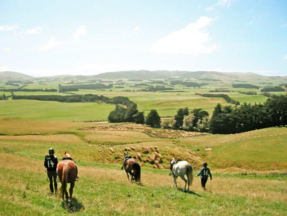 The steepest hill gave the riders an opportunity to stretch their legs on the way down. The steepest hill gave the riders an opportunity to stretch their legs on the way down.