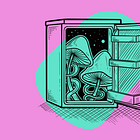 The Art of Preservation: Maximizing Shroom Shelf Life