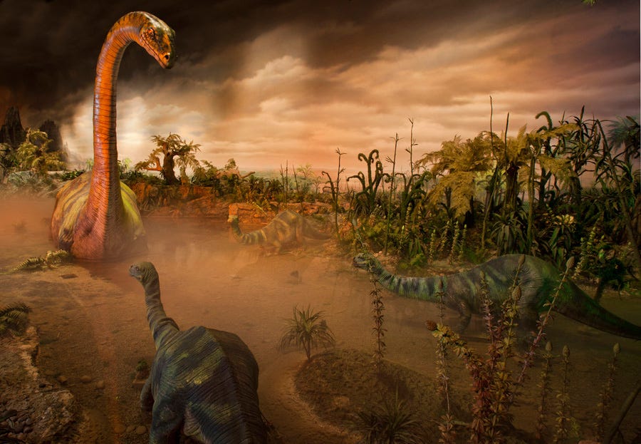Image result for disneyland primeval world Image result for disneyland primeval world