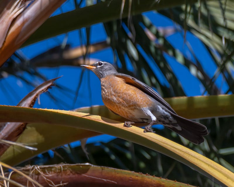 230104-misc-152-Edit.jpg 230104-misc-152-Edit.jpg