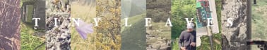 Tiny Leaves' Substack