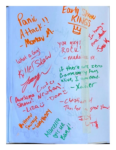 Selected images from Gooseberry's tour yearbook