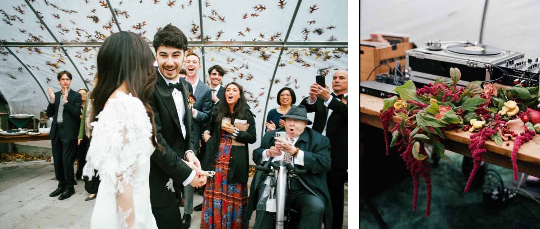 Color Me Disco - What's Up? Media, image size:1736x736