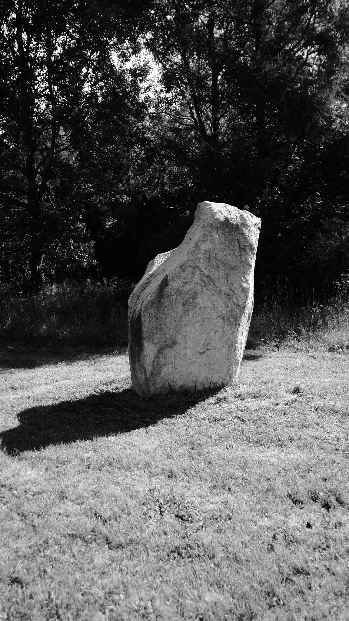 Large stone planted in the earth