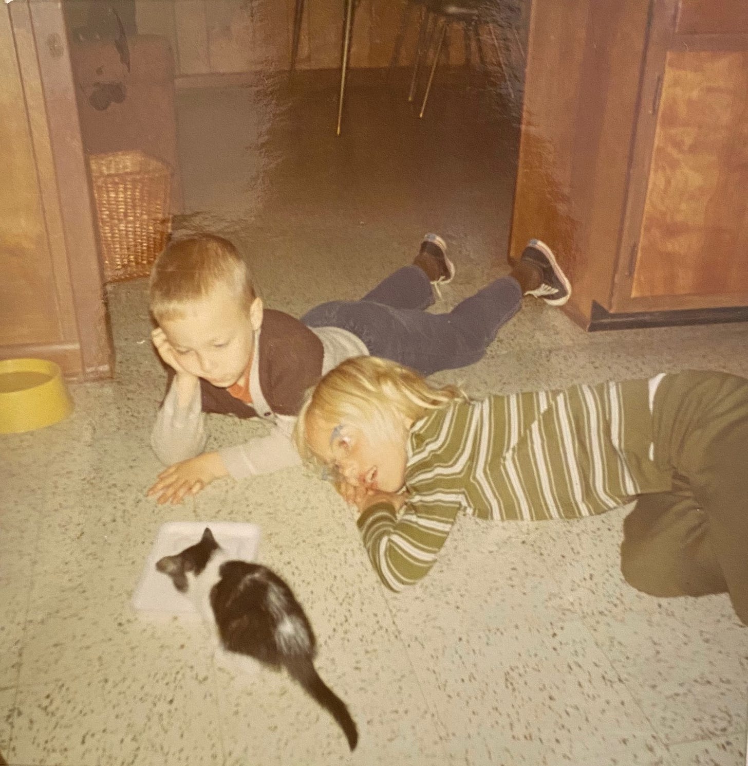 Boy age 5, girl age 7 lie on kitchen floor staring at kitten eating from a dish