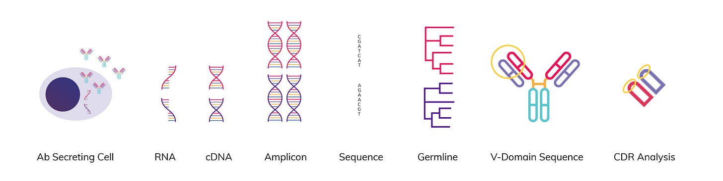 Antibody Solutions: Antibody Sequencing
