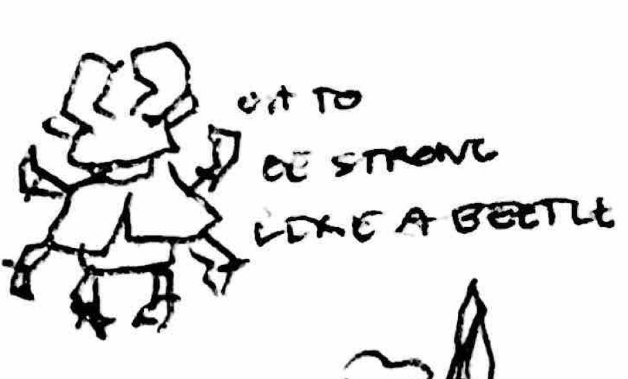 “oh, to be strong like a beetle.”
