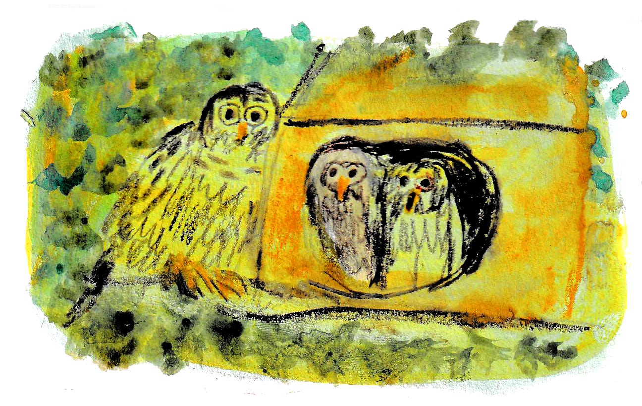 owls illustrated by Beth Spencer