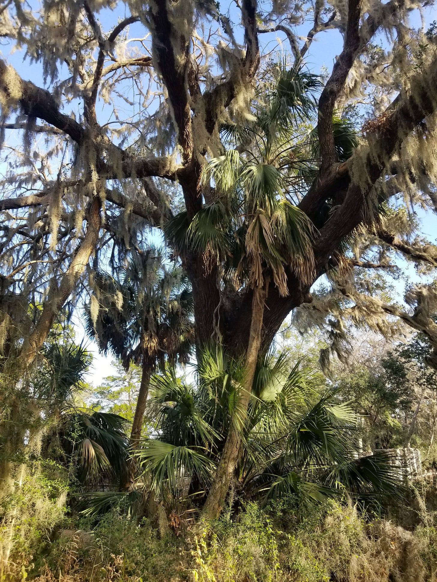 20180107_142653.jpg 20180107_142653.jpg