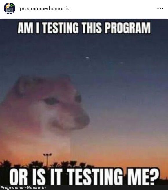 testingTimes · ProgrammerHumor.io