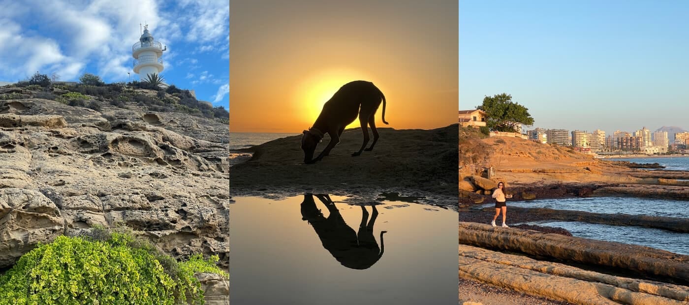 Long walks with Pixel