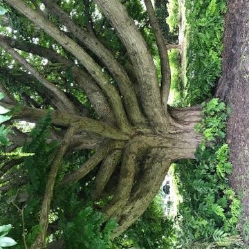 With Love, Your Friendly Neighbourhood Radical