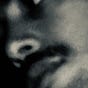 كريم عبد الودود's avatar