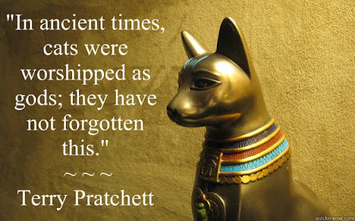 In ancient times, cats were worshipped as gods; they have not forgotten  this." ~ ~ ~ Terry Pratchett - cats have big heads - quickmeme