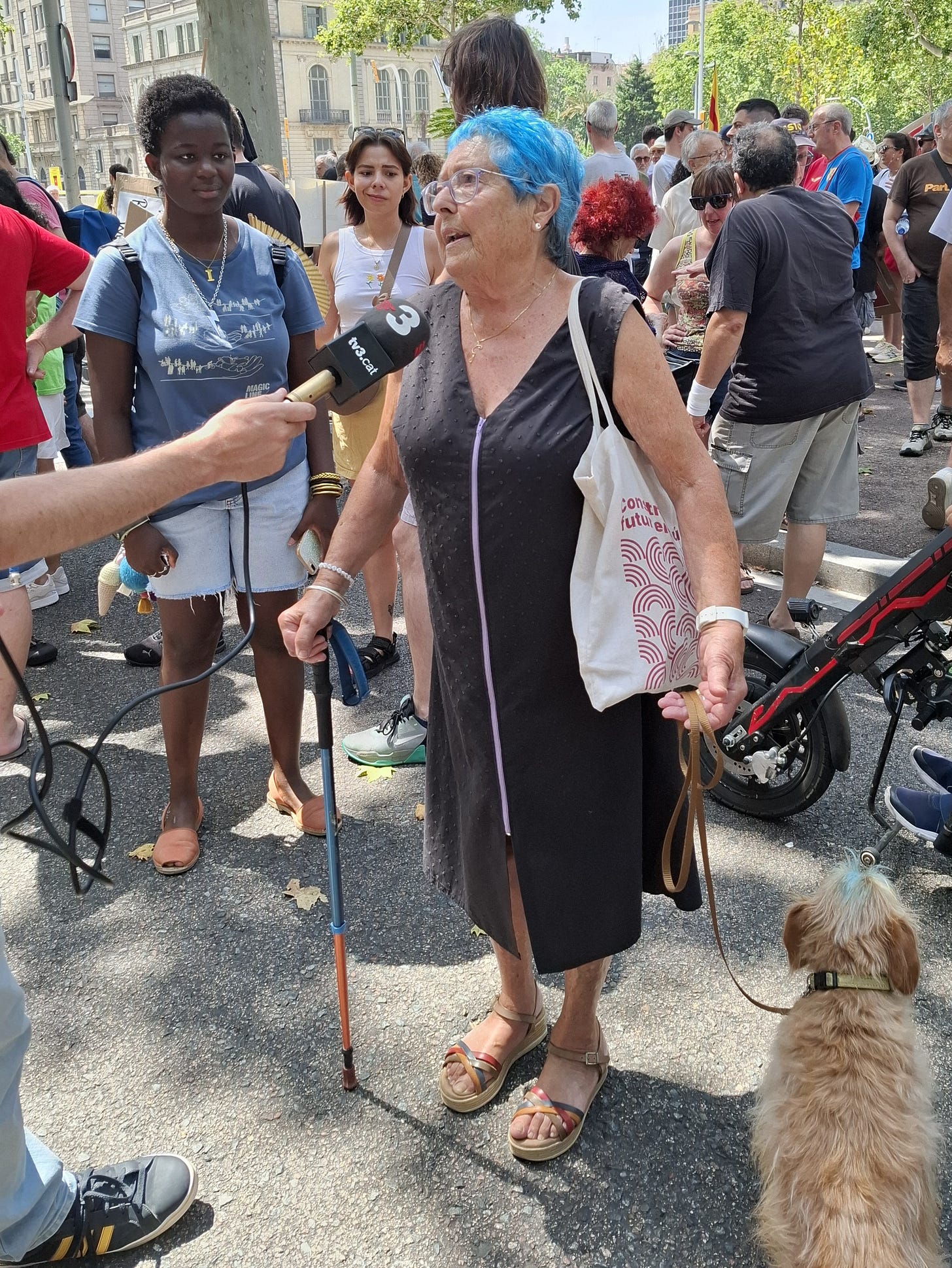 Una donna anziana dai capelli blu brillante con un vestito nero senza maniche, sandali e occhiali è al centro dell'immagine e tiene in mano una borsa di stoffa e un bastone da passeggio pieghevole. Un piccolo cane marrone chiaro con una macchia blu sulla testa è in piedi accanto a lei sulla destra, tenuto al guinzaglio. Dietro di lei ci sono diverse persone, tra cui una donna con una maglietta blu, pantaloncini di jeans e una borsa di jeans che guarda l'intervista. Sono tutti all'aperto su una piazza pavimentata.