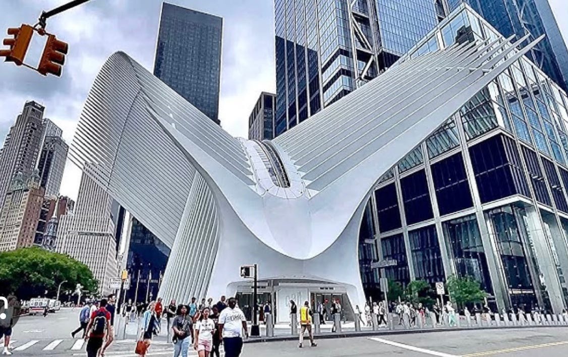 The Oculus - by Anthony Freda - Non-Essential Substack