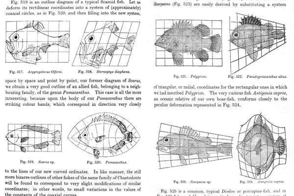 D'Arcy Thompson's On Growth and Form D'Arcy Thompson's On Growth and Form