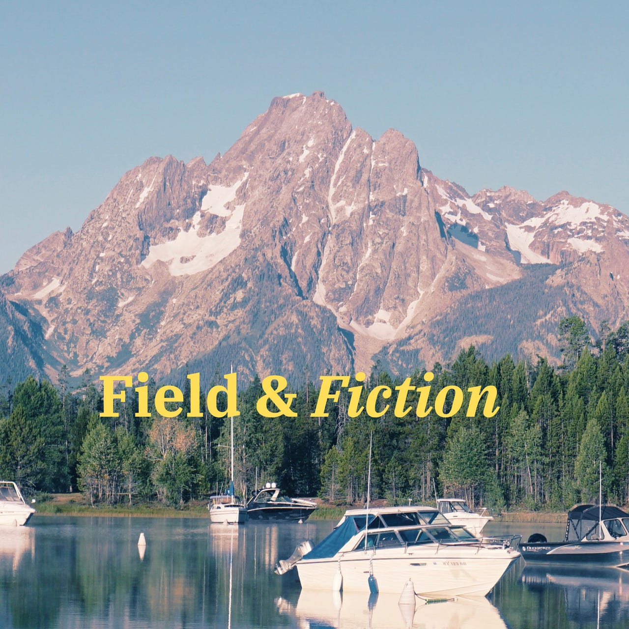 Field and Fiction