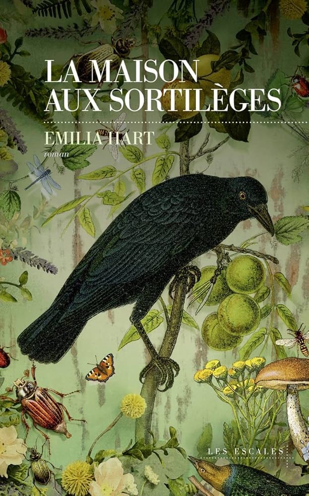 Amazon.fr - La Maison aux sortilèges - Hart, Emilia, Delarbre, Alice -  Livres
