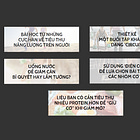 TẬP SAN T3 DIGEST THÁNG 06/2024