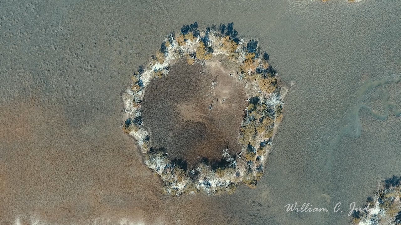 Fig Island Shell Rings of South Carolina – Billbo&#39;s Blog