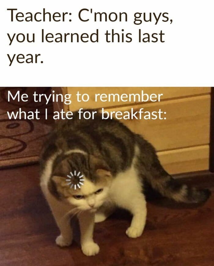 brain lag meme : Second Language Strategies