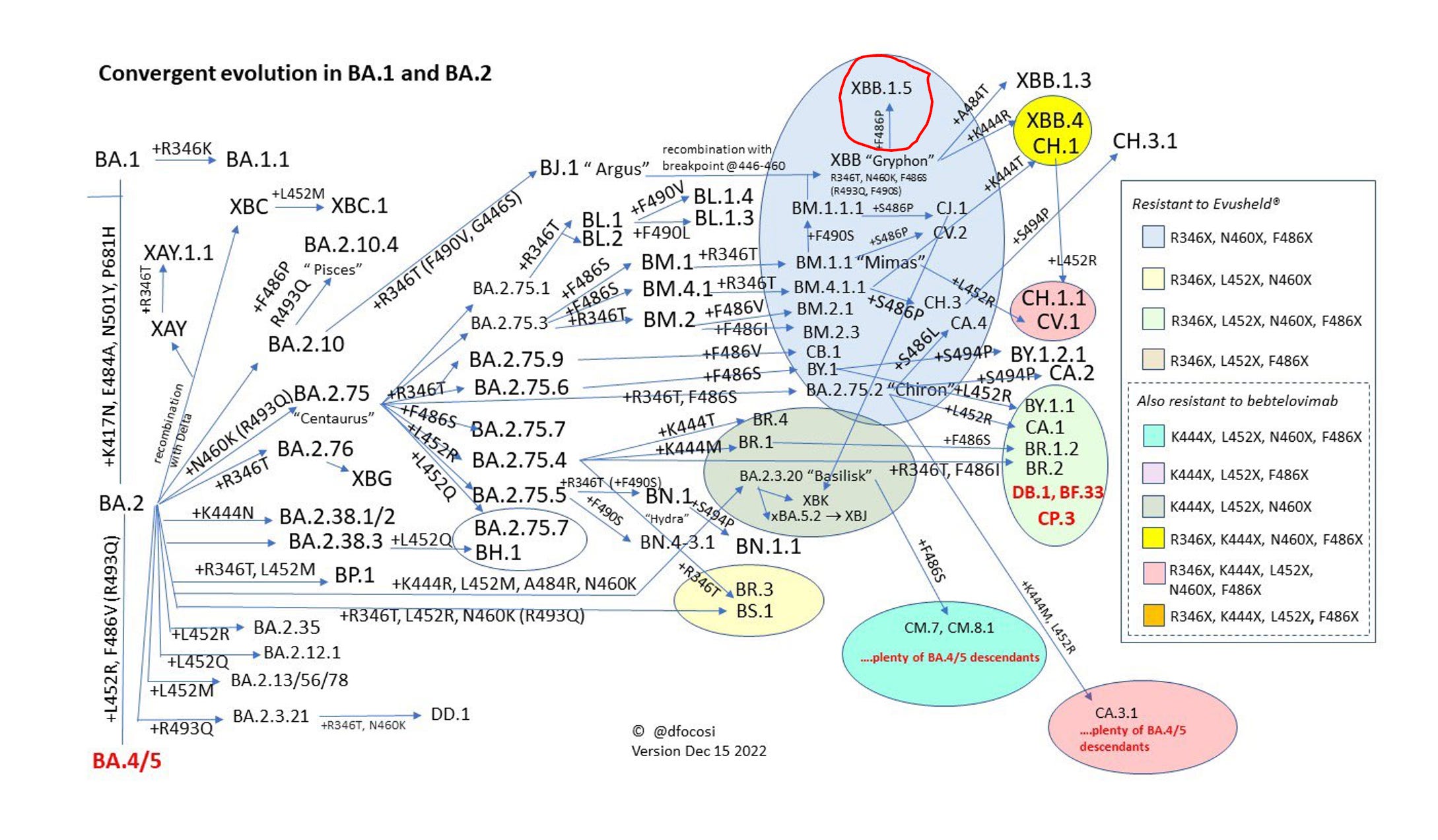A new variant alert - by Eric Topol - Ground Truths