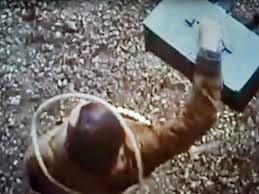 LA MUERTE MÁS APLAUDIDA: LA DEL SEÑORITO IVÁN EN "LOS SANTOS INOCENTES"  (1984) "Los santos inocentes" (1984). Guion de Antonio Larreta, Manolo  Matji y Mario Camus basado en la novela de Miguel