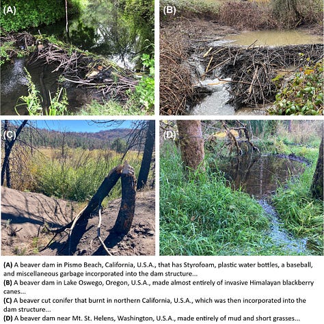 Using Beaver Capacity Models - EarthStuff