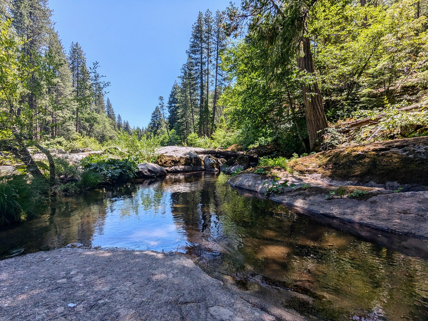 Tranquil pool at the American River