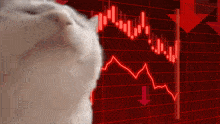 Stock Market Crash GIFs | Tenor