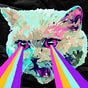 relajaunpoco's avatar
