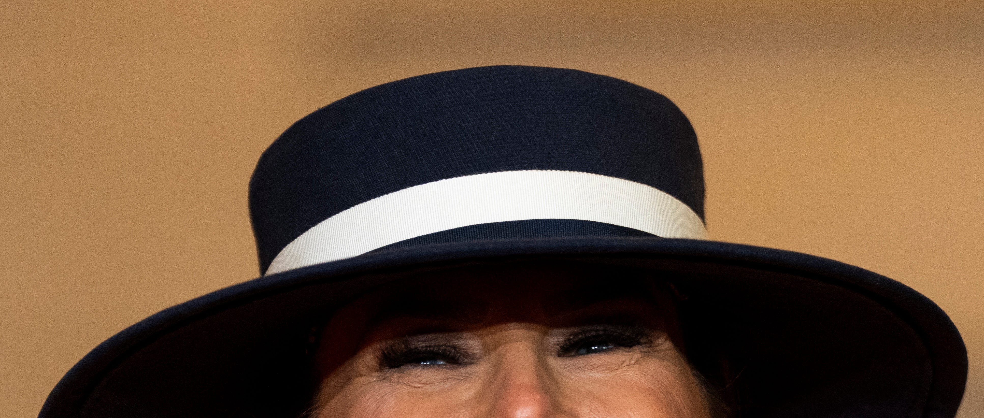 The Borowitz Report | Substack