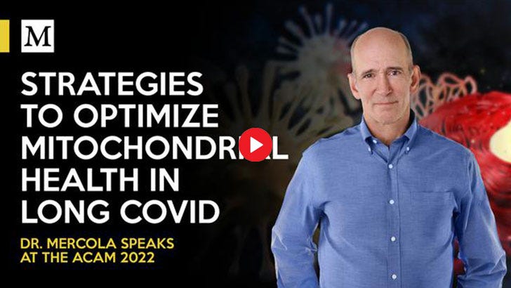 Strategies to Optimize Mitochondrial Health in Long COVID