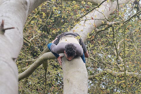 Treeverse Workshop in Hamstead Heath