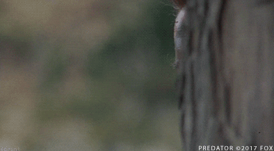 Arnold Schwarzenegger Predator GIF by 20th Century Fox Home ...
