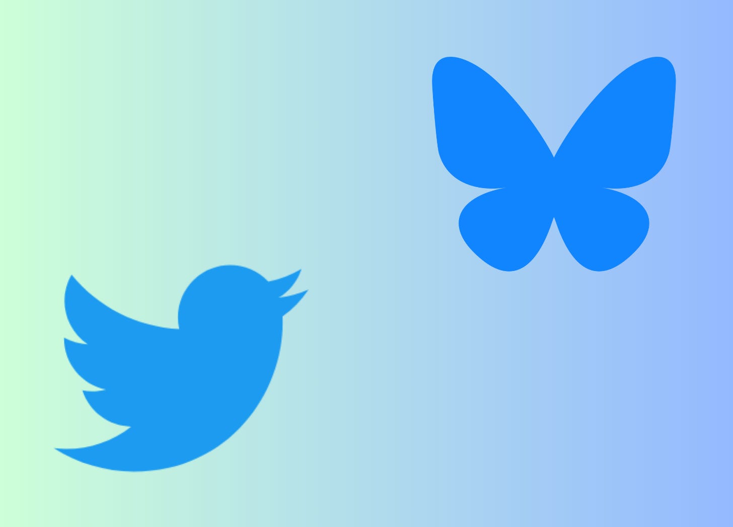An image with the old blue Twitter logo which is a bird and the Bluesky logo which is a butterfly