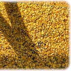 Green Wednesday: Soil Health and Smarter Fall Cleanup