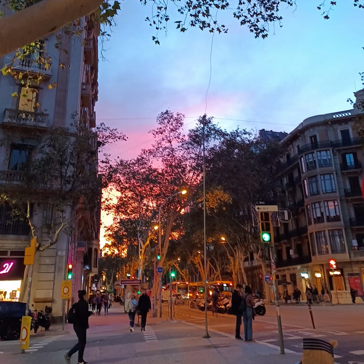 Photos of Barcelona landscape at dusk with landmarks and graphitti of the city