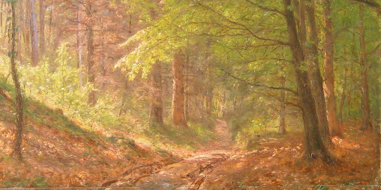 The Woods