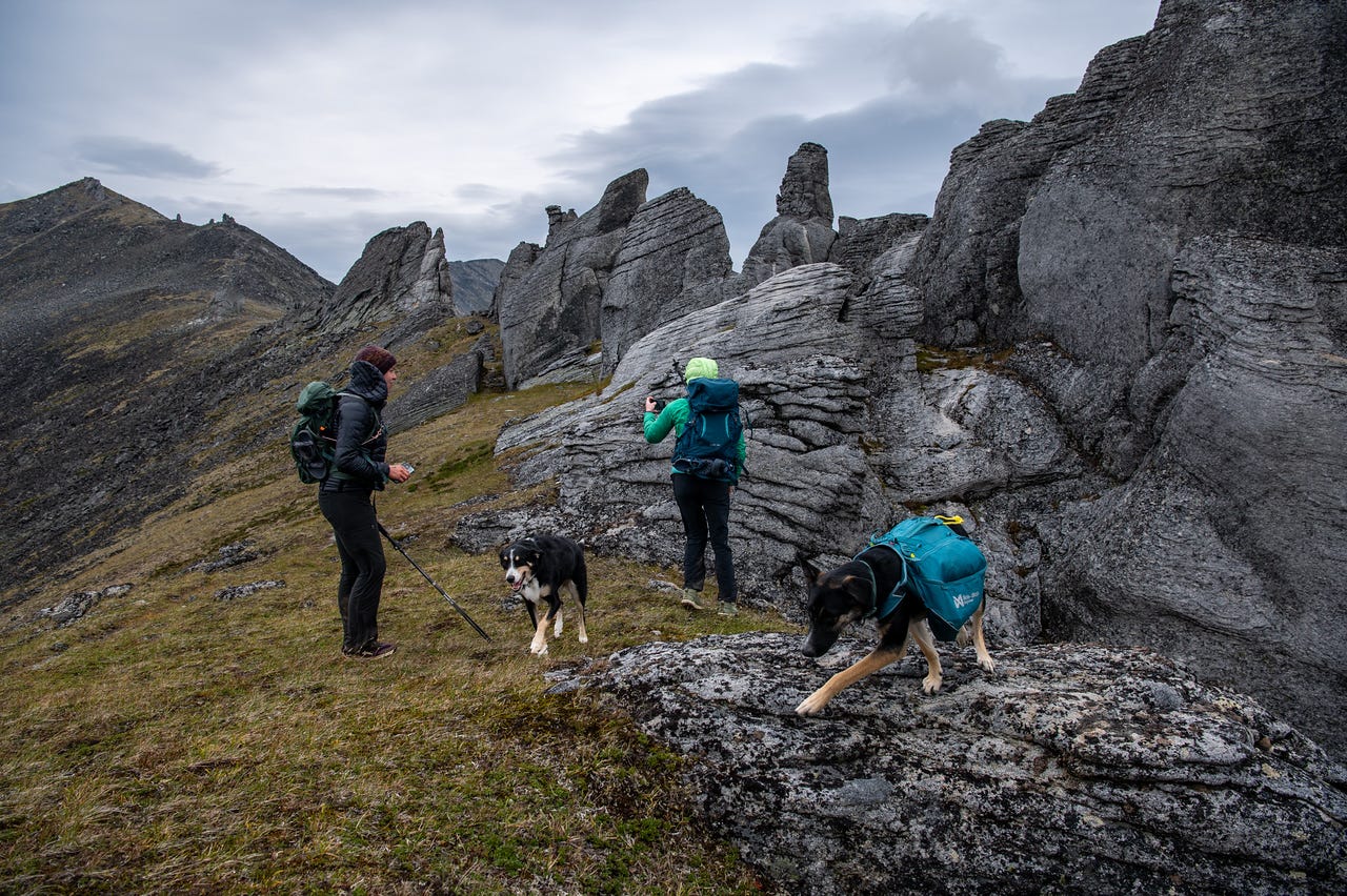 Two hikers with packs and two dogs, one in a teal dog-pack, move among tall, weathered granite tors on a grassy alpine ridge under a heavy grey overcast sky. The fluted rock pinnacles rise in clusters across the slope, with bare ridgelines falling away behind.