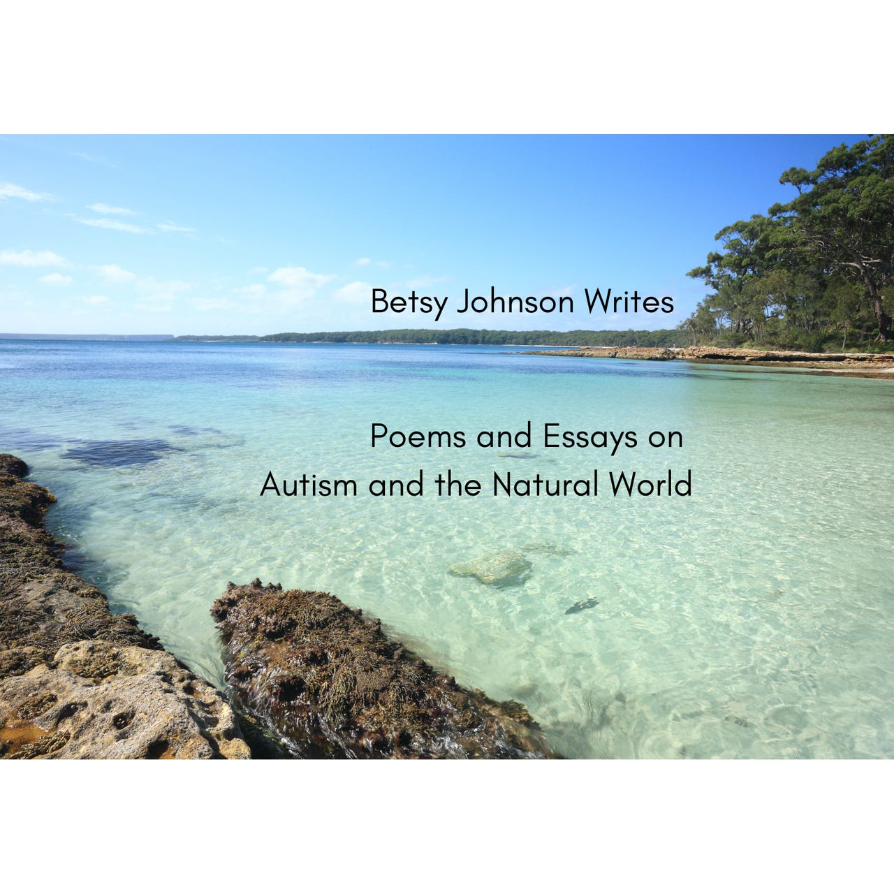 Betsy Johnson Writes